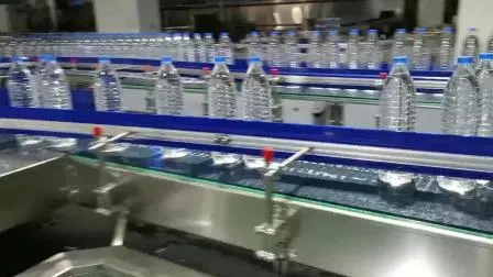 Full Automatic Plastic Bottle Water Filling Plant/Pet Bottle Water Filling Machine